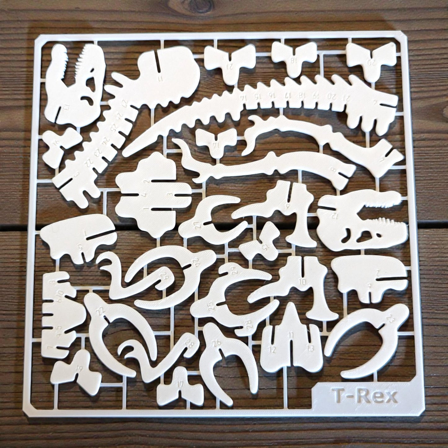 T-Rex Dinosaur Puzzle Kit Card - DIY Numbered Skeleton Model Toy for Kids | STEM Educational Build & Play Dinosaur Sentosa