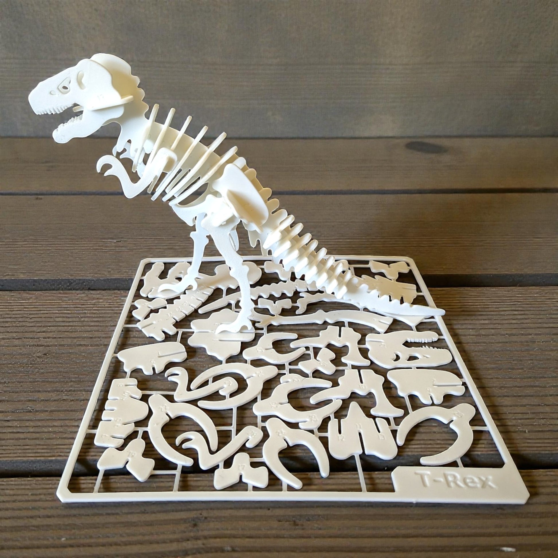 T-Rex Dinosaur Puzzle Kit Card - DIY Numbered Skeleton Model Toy for Kids | STEM Educational Build & Play Dinosaur Sentosa